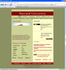 flock 1.0.8 windows xp