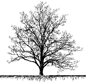 tree